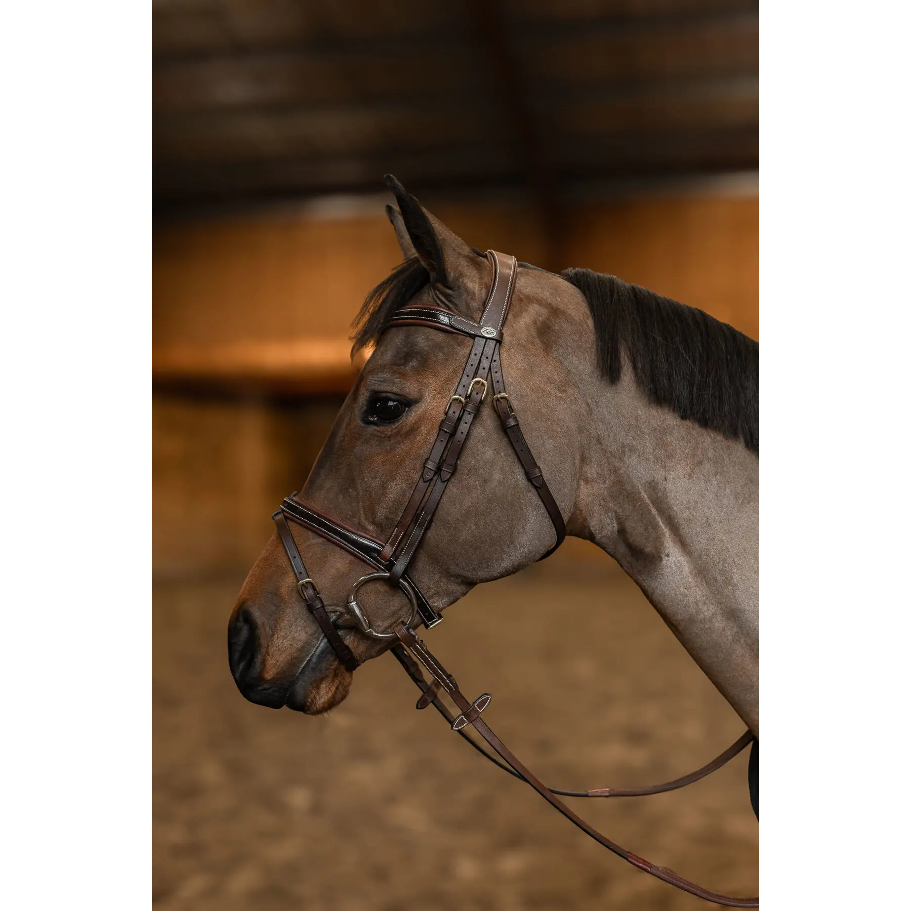 Anatomical riding bridle HFI Painted