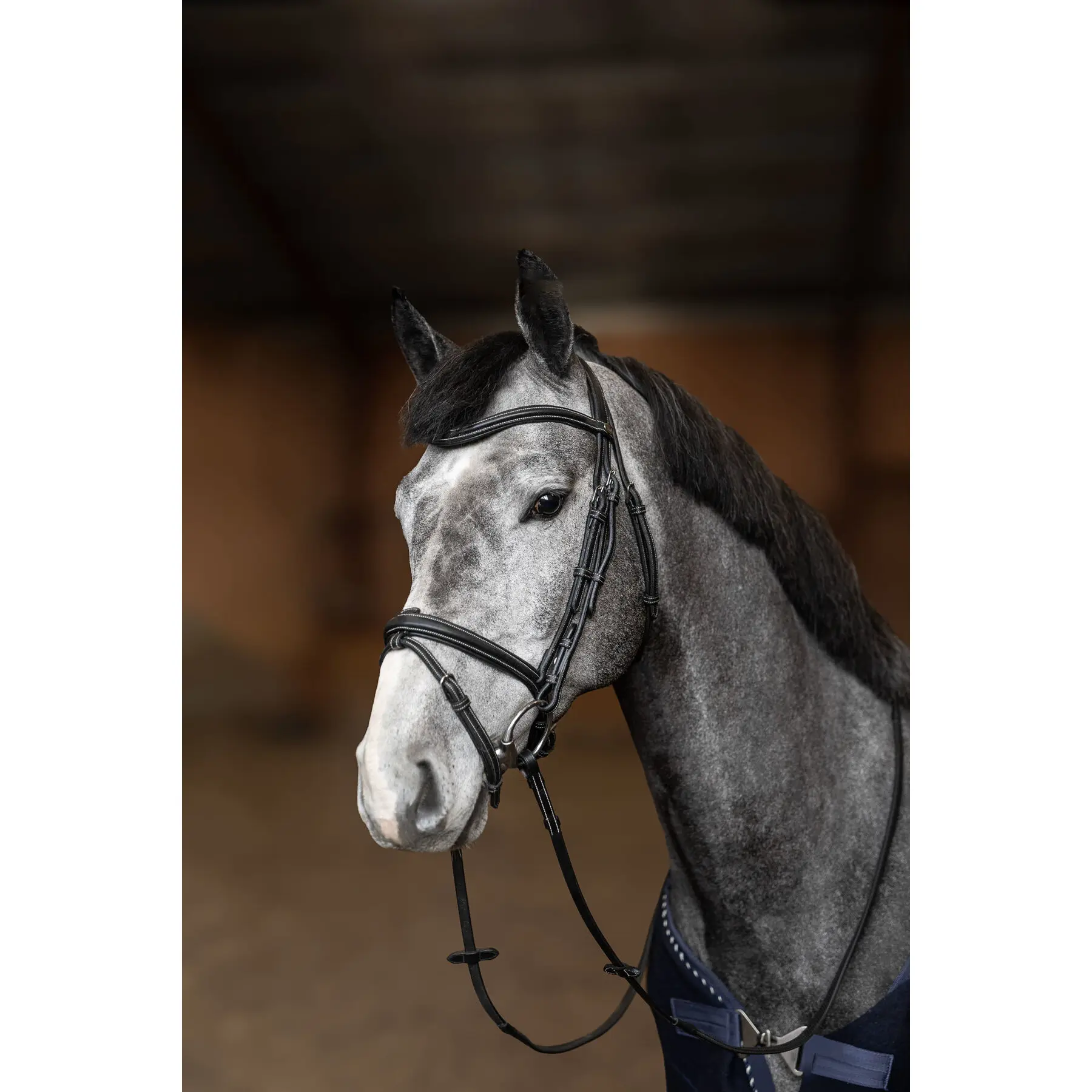 Bridon équitation anatomique HFI Flex