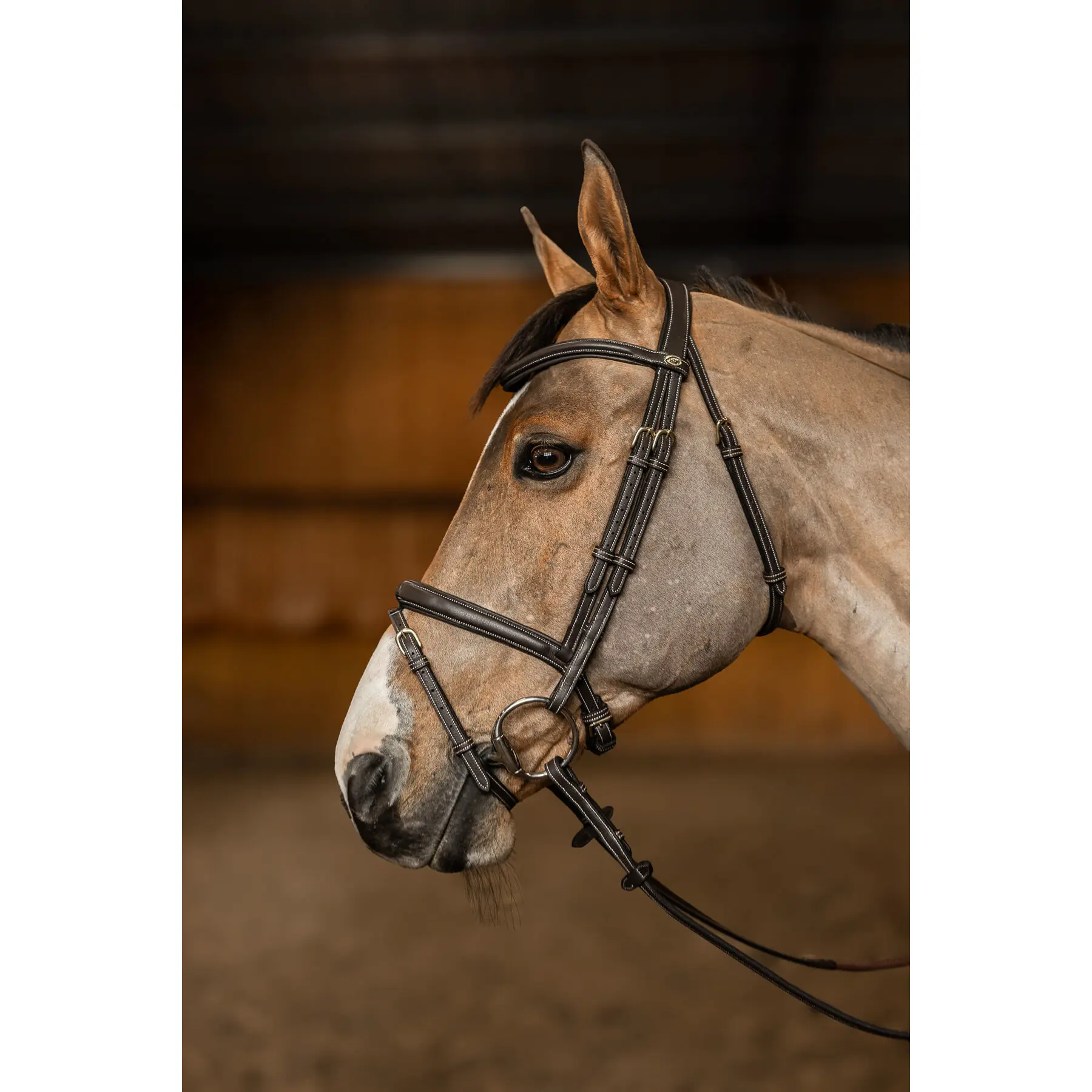 Briglia anatomica da equitazione HFI Flex