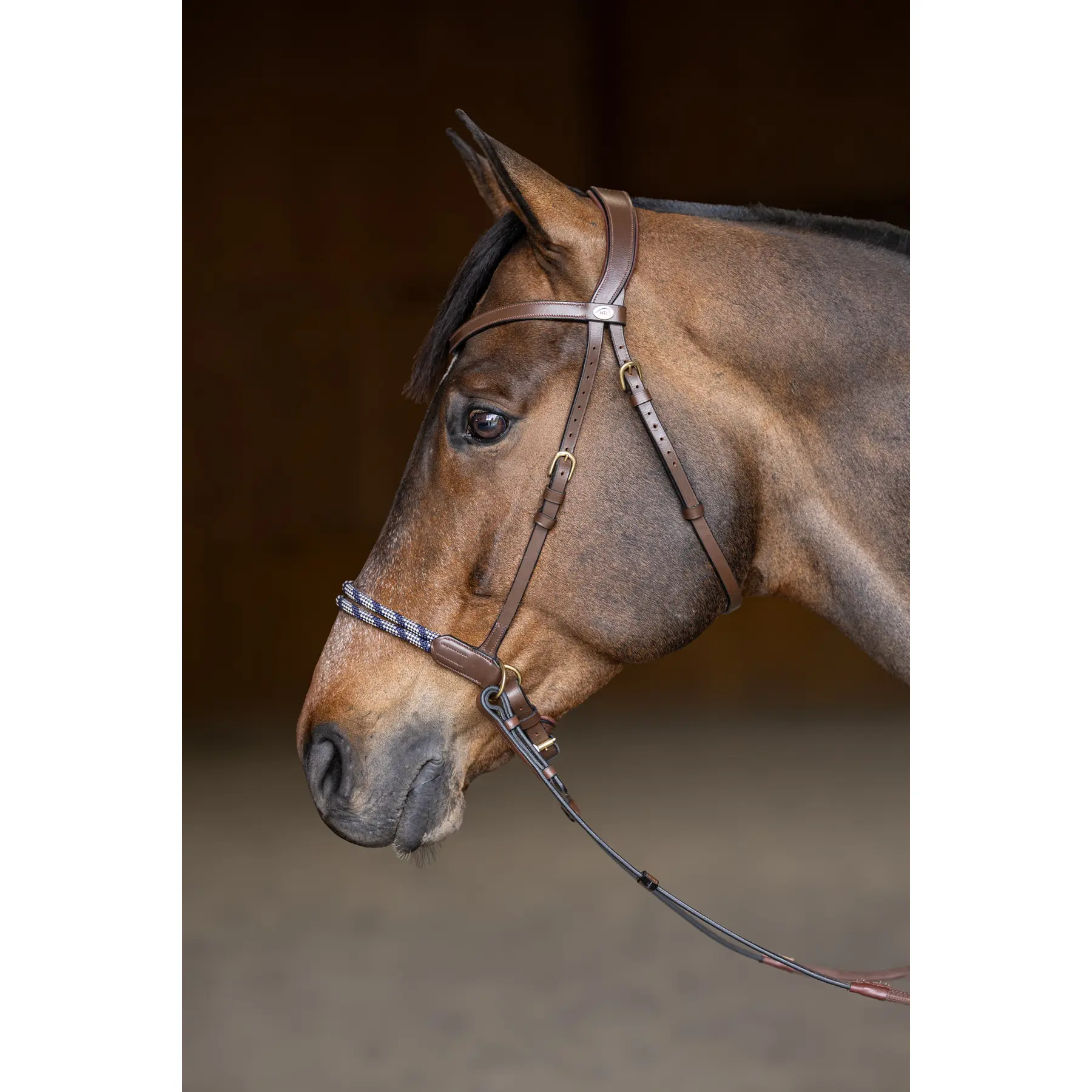 Anatomical riding bridle without bit HFI Freedom