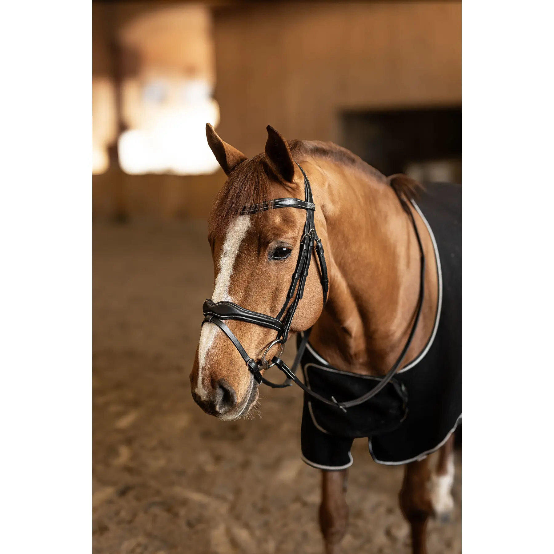 Combination horse noseband HFI Wavy