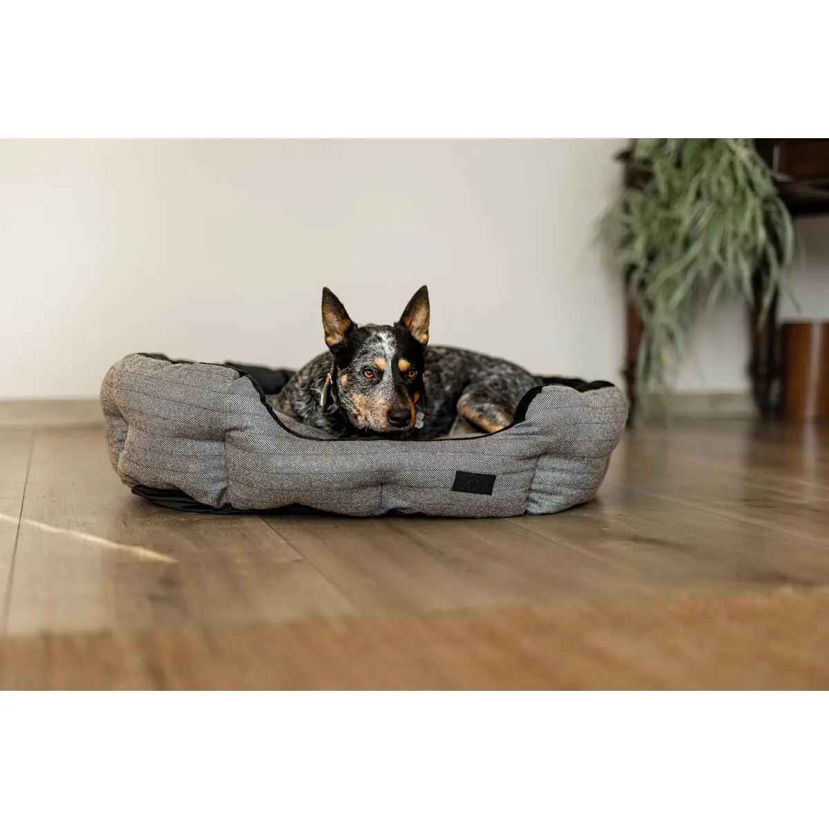 Dog bed HFI Oval