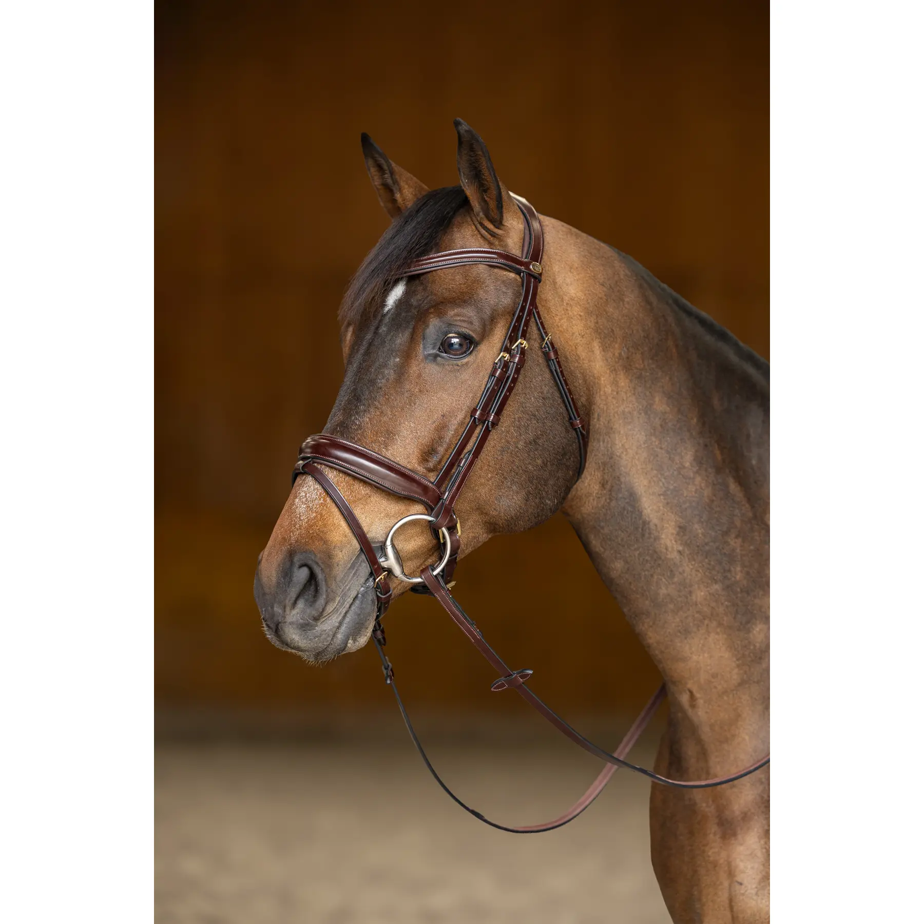 Bridon équitation anatomique pull-back HFI Pro Line Verona