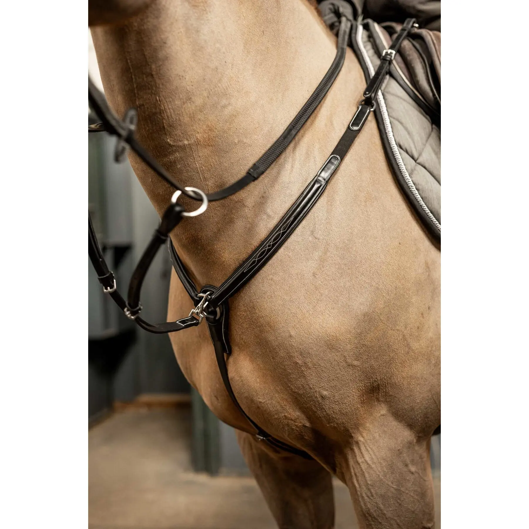Hunting collar for horse HFI Pro Line Arezzo