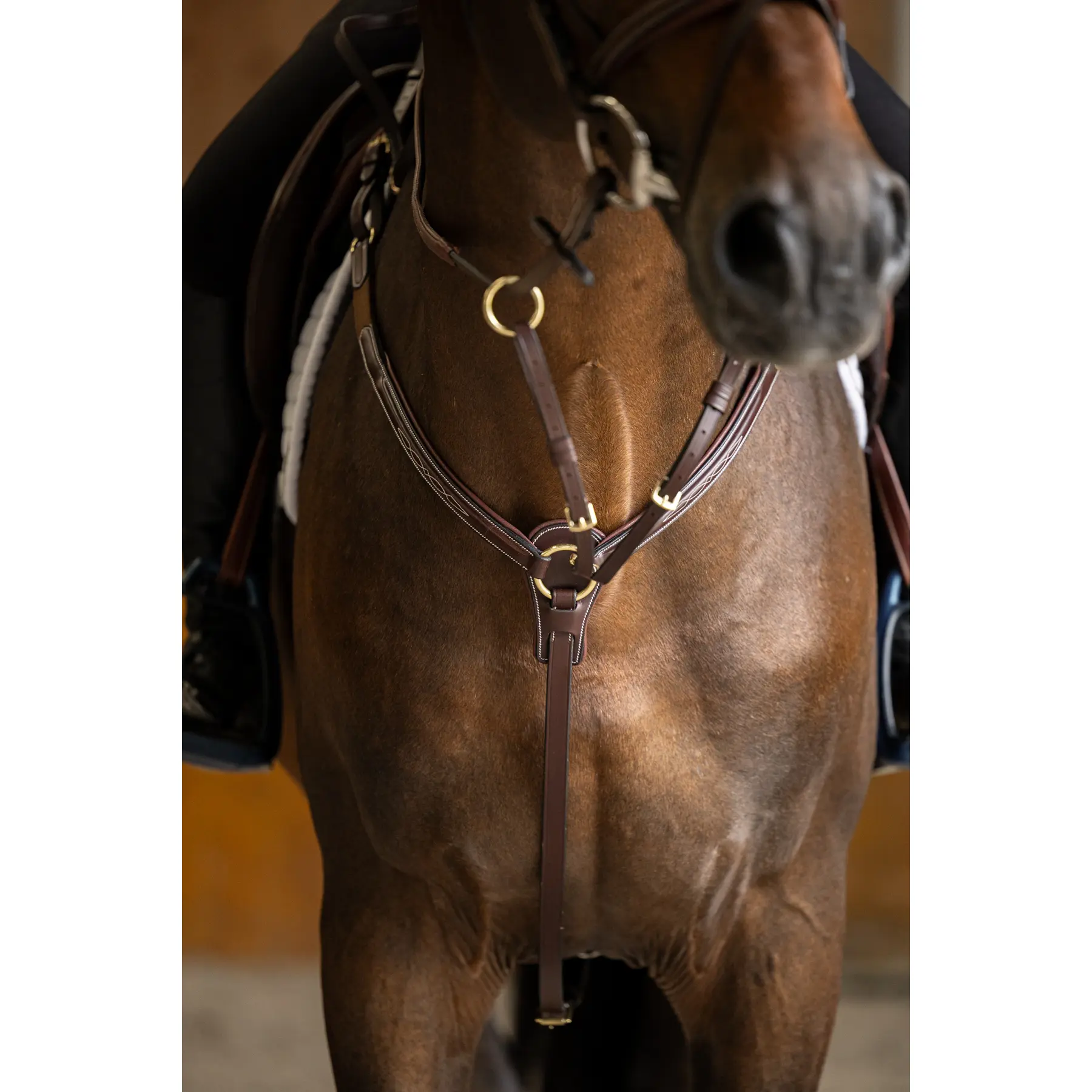 Hunting collar for horse HFI Pro Line Arezzo