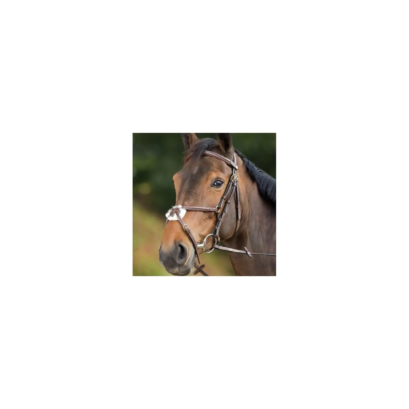Riding bridles HFI Mexican