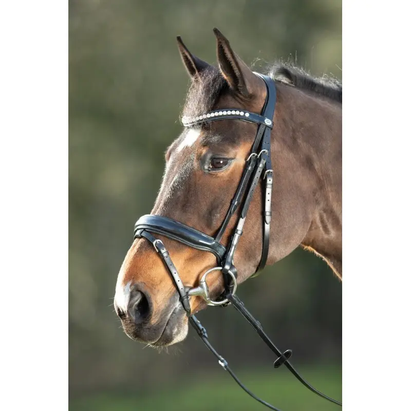 Riding bridles HFI Shiny