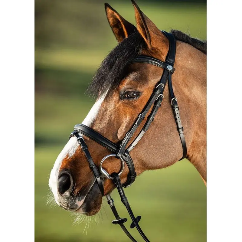 Riding bridles HFI Soft