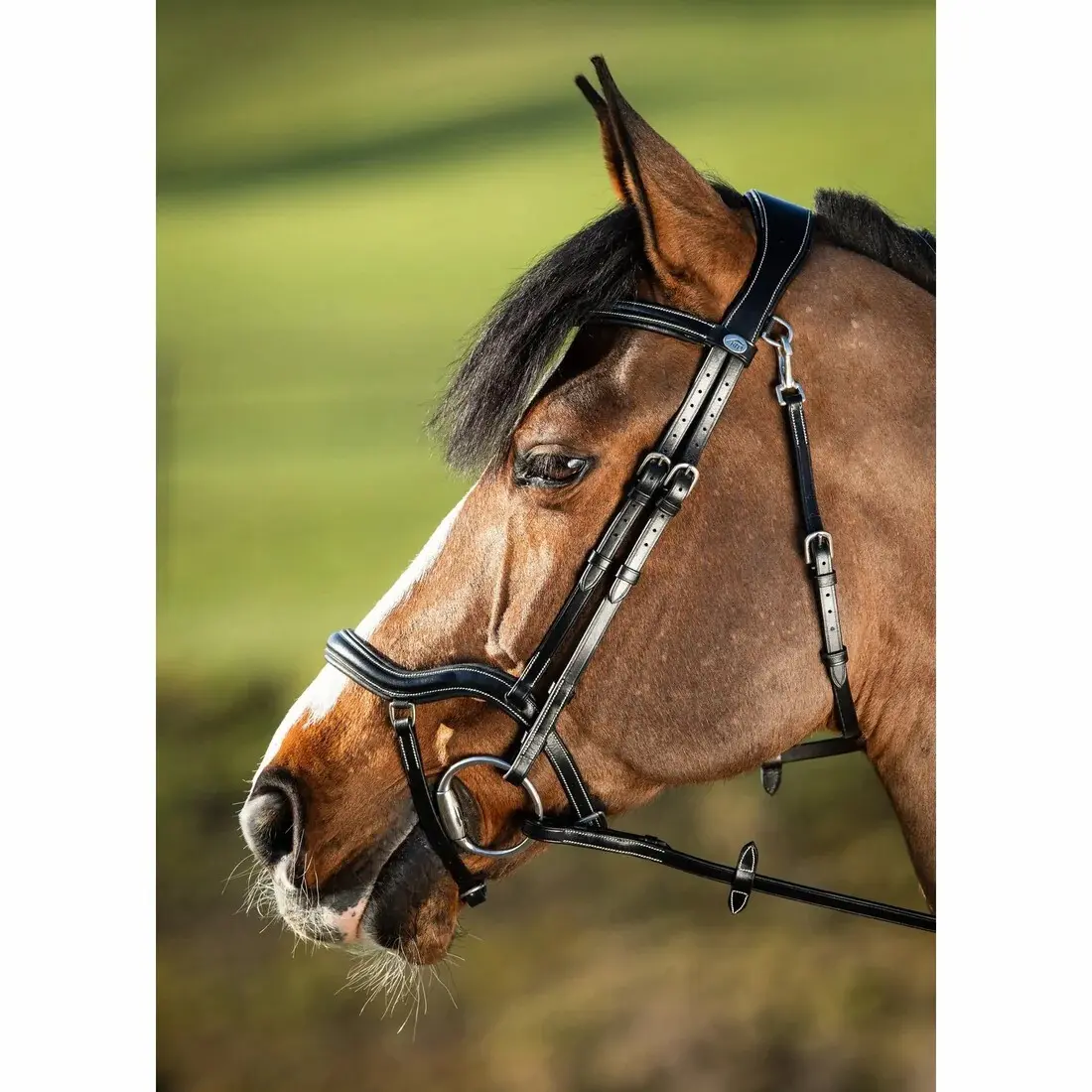 Riding bridles HFI Techno