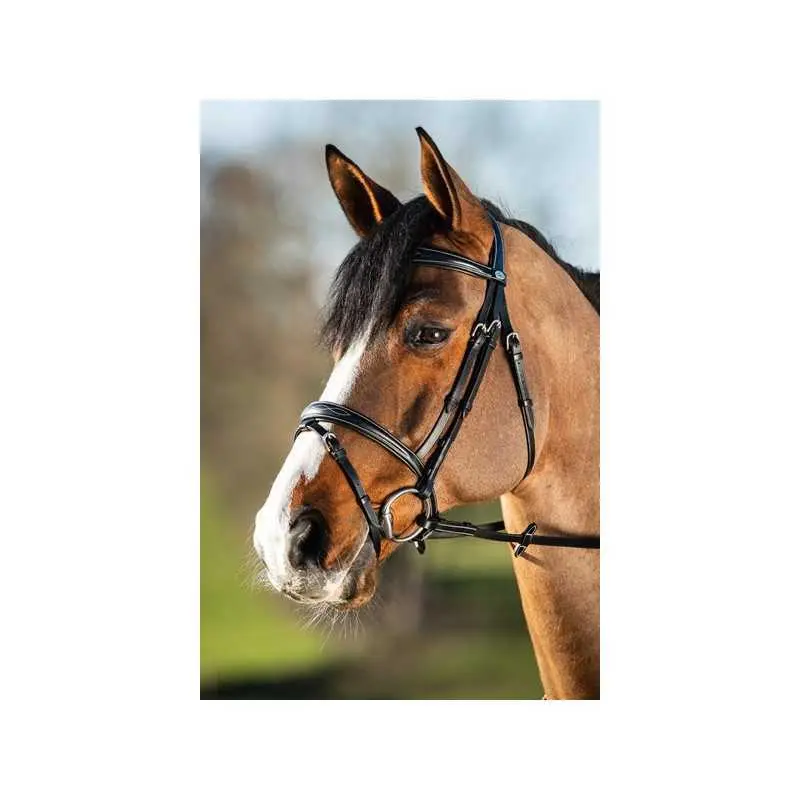 Riding bridles HFI Elegant