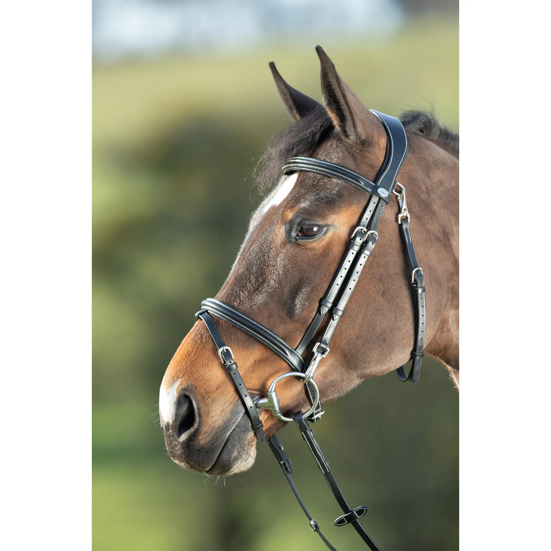 Riding bridles HFI Functional