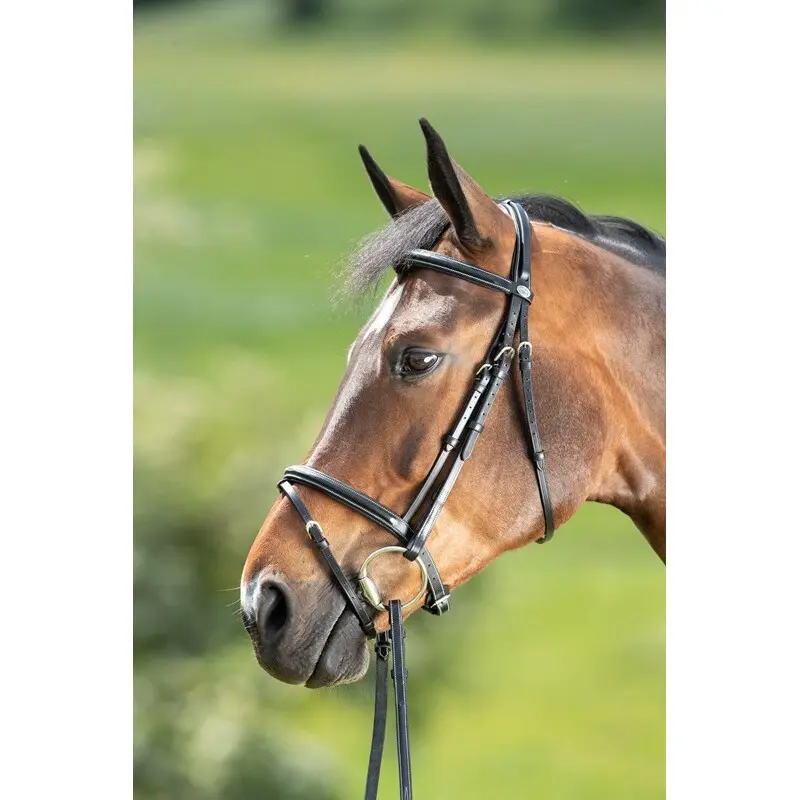 Bridons équitation HFI Comfort
