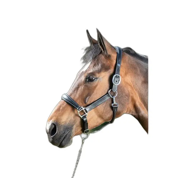 Licol pour cheval en cuir HFI