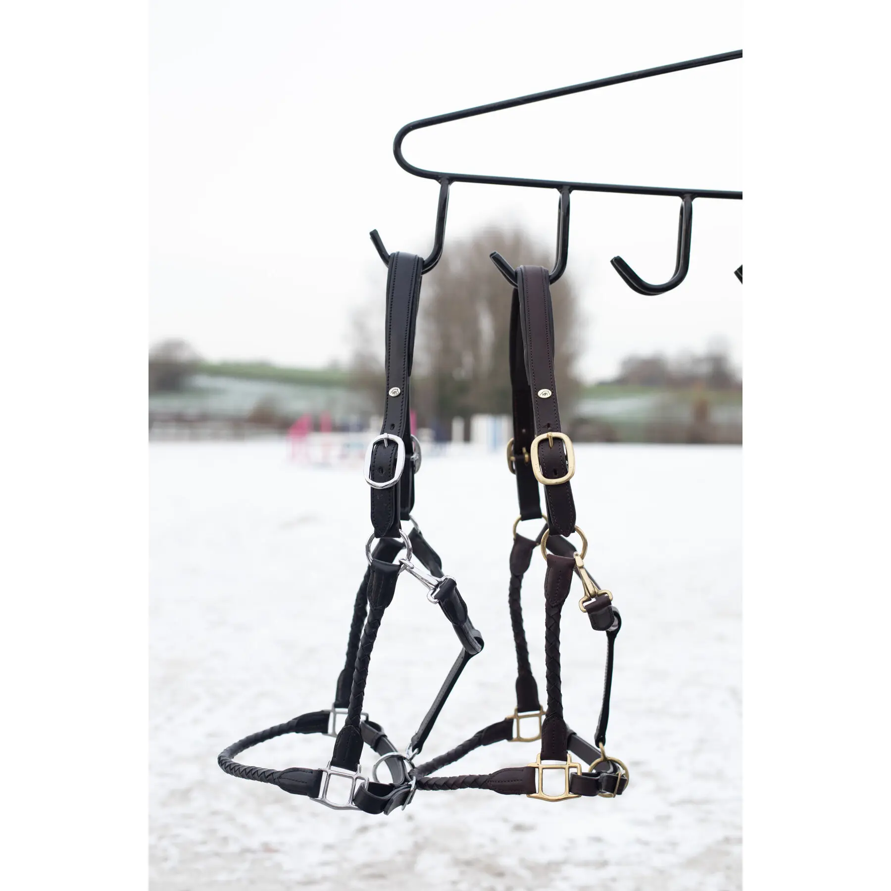 Licol pour cheval en cuir HFI Braided