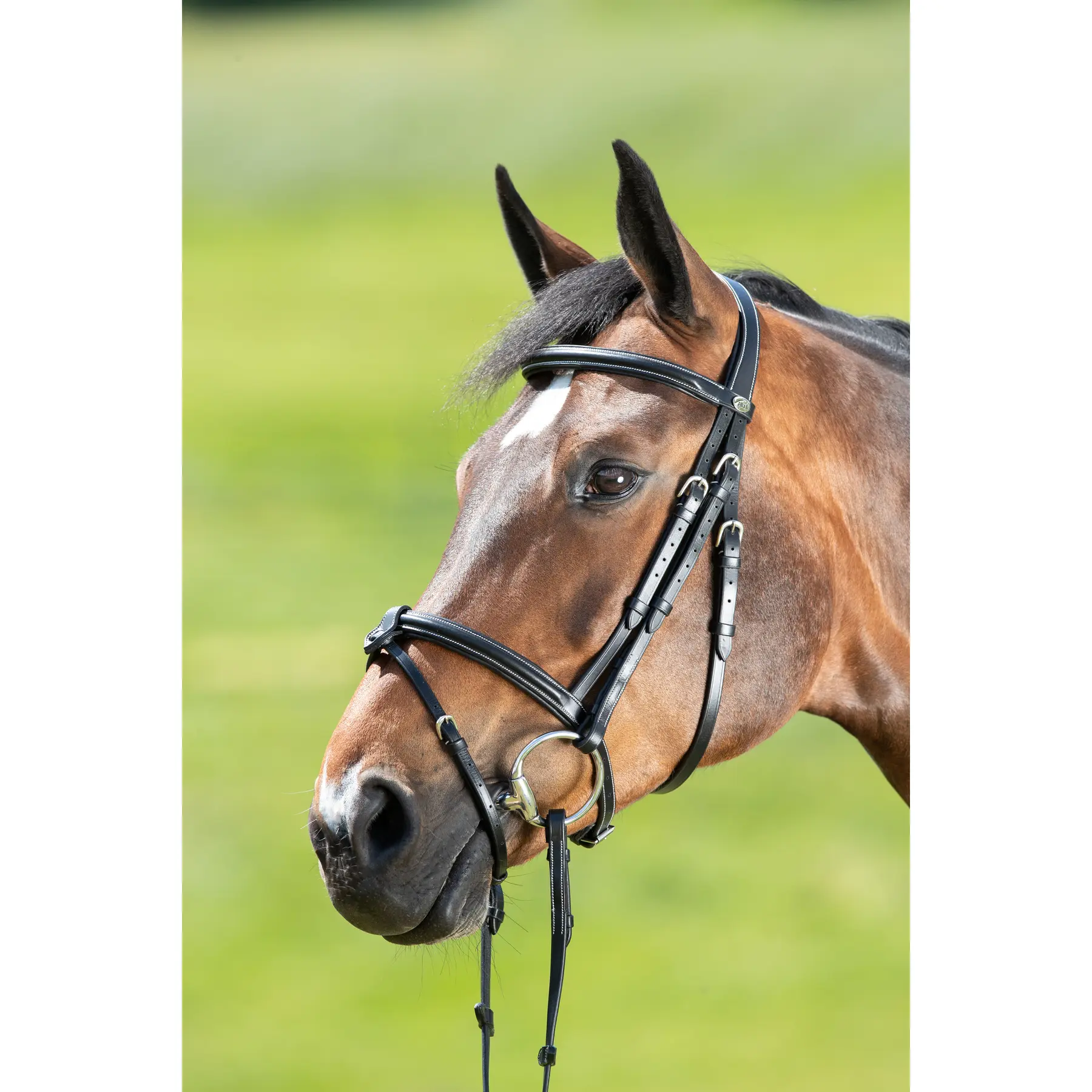 Riding bridles HFI Anatomic