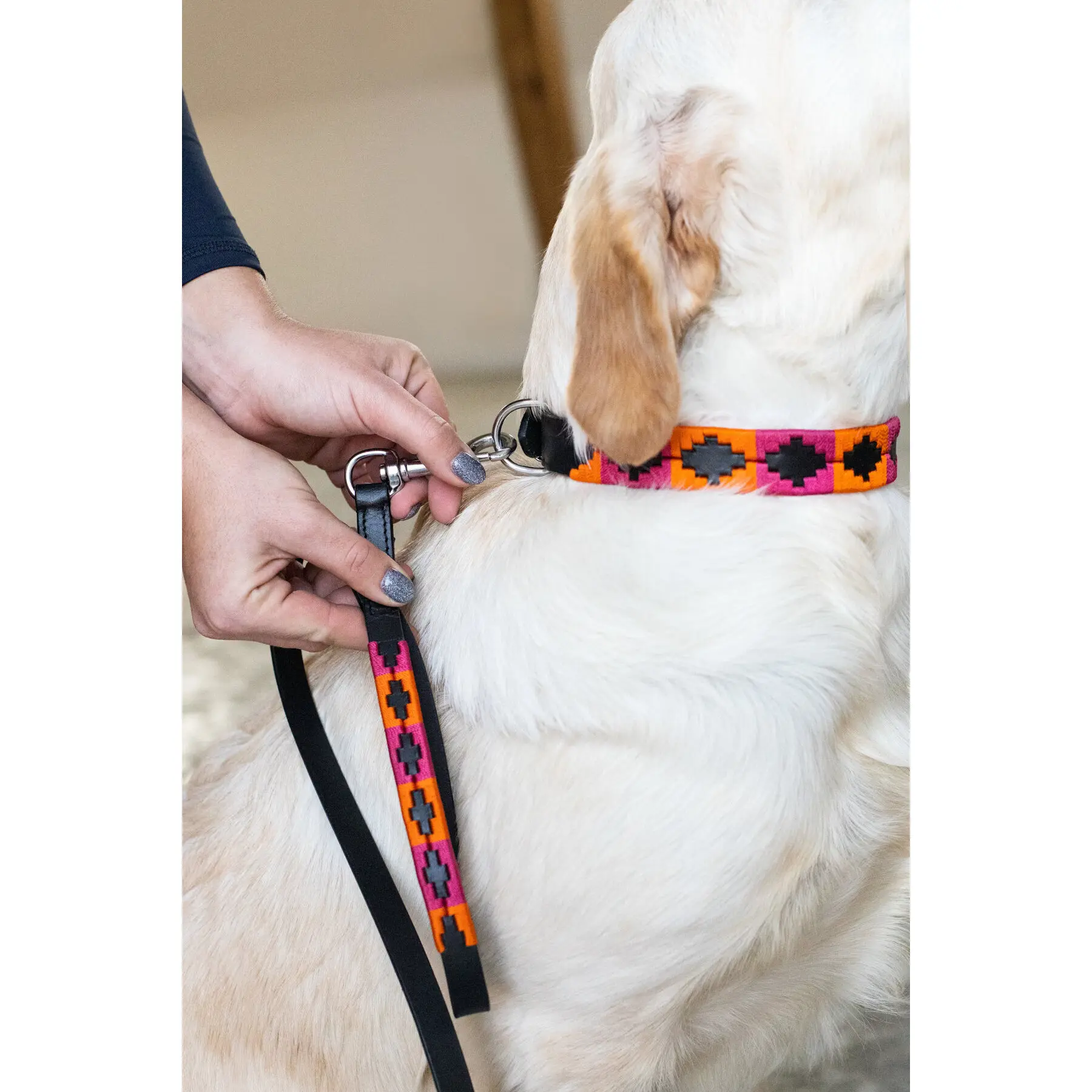 Dog leash HFI Polo shirt