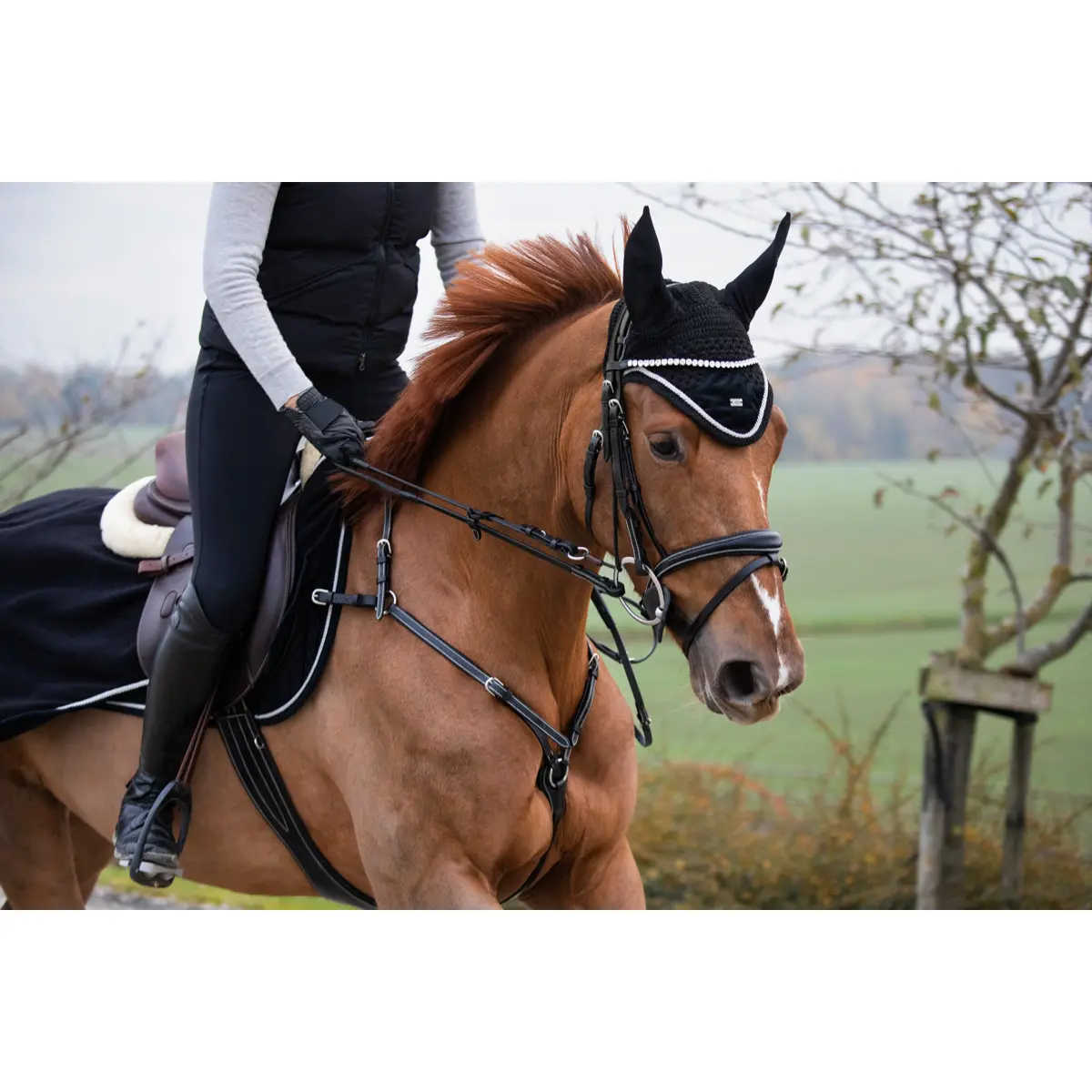 Horse Cap Short HFI Velvet