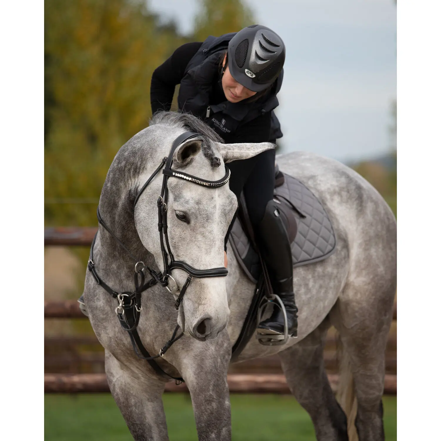 Frontal for horse HFI Padded Wave + Strass