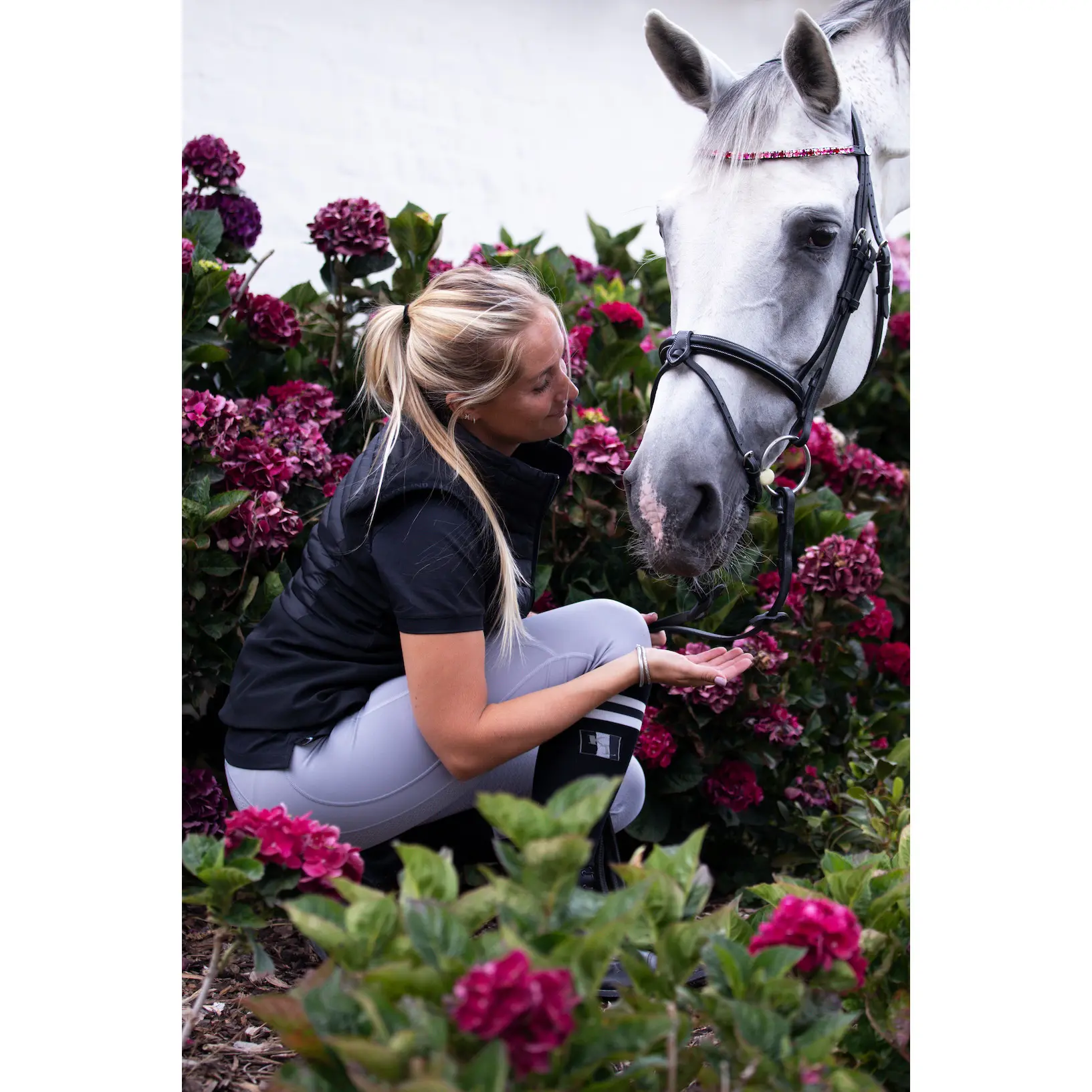 Pet & Garden - DE