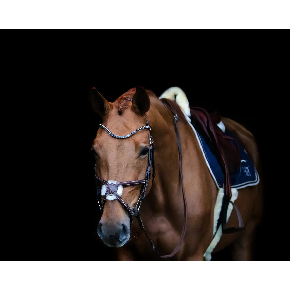 Frontale per cavallo HFI V Shape + Strass