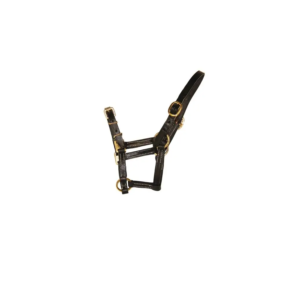 Fine leather halter for horse HFI