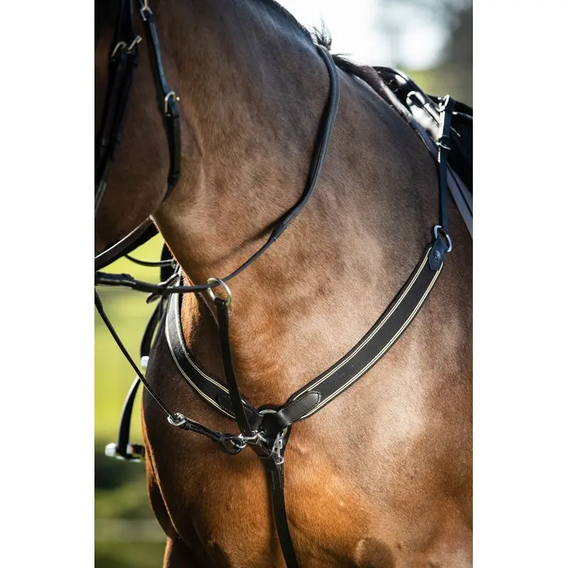 Elastic hunting collar for horse HFI