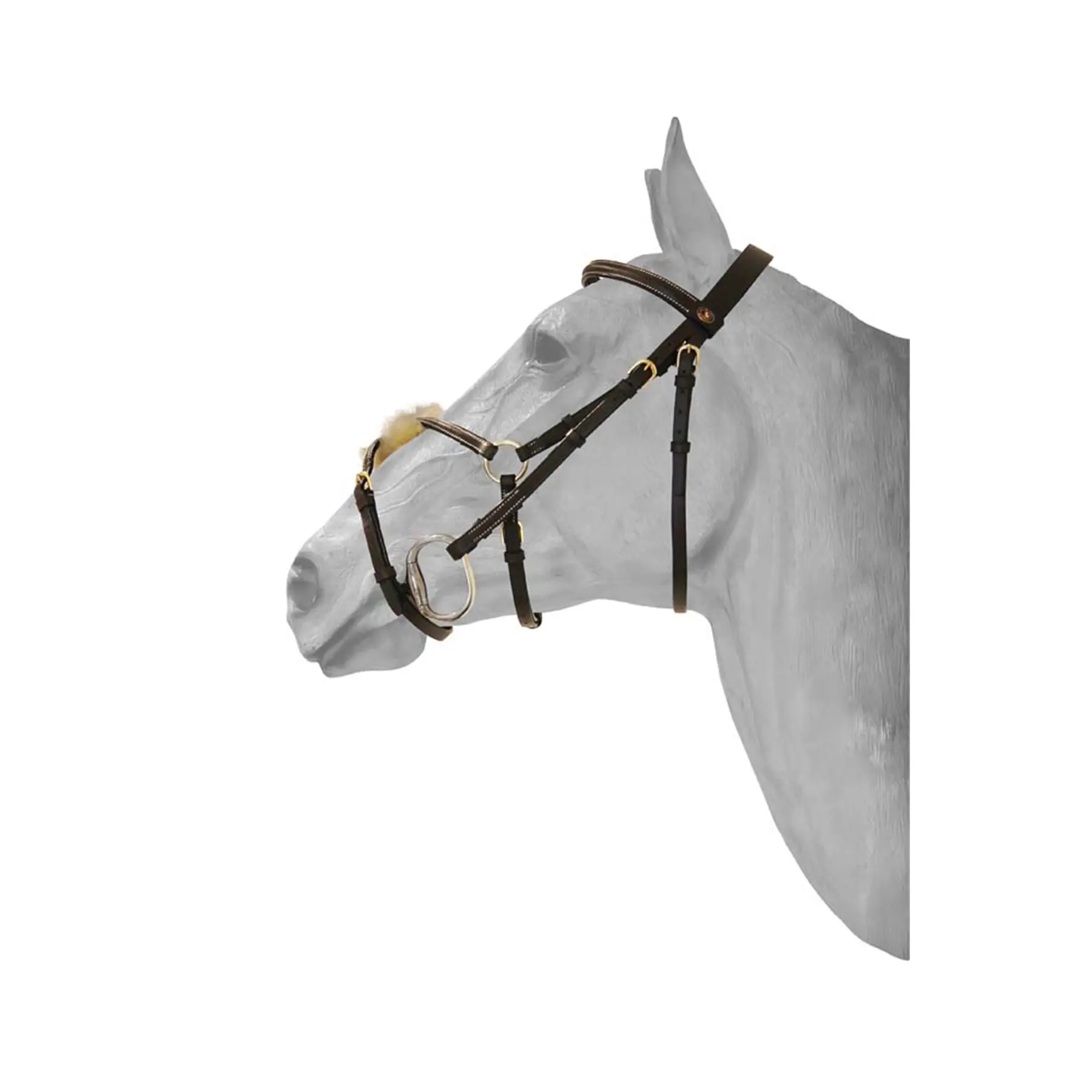 Double-breasted bridle with anatomic stitching HFI