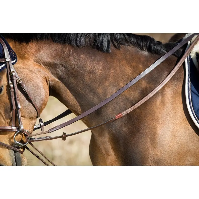 Horse Reins HFI