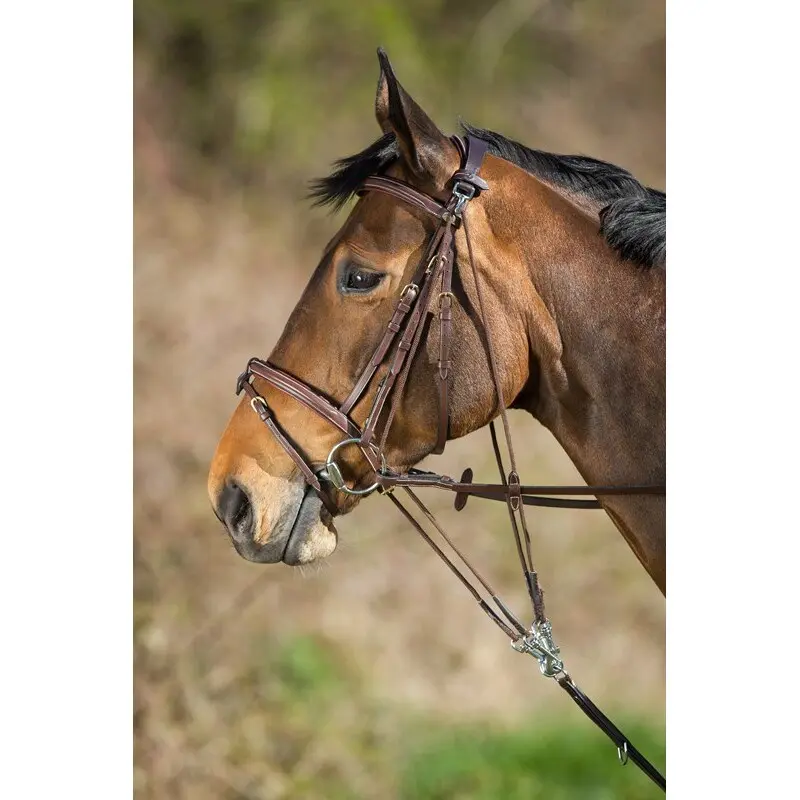 Gogue for horse HFI