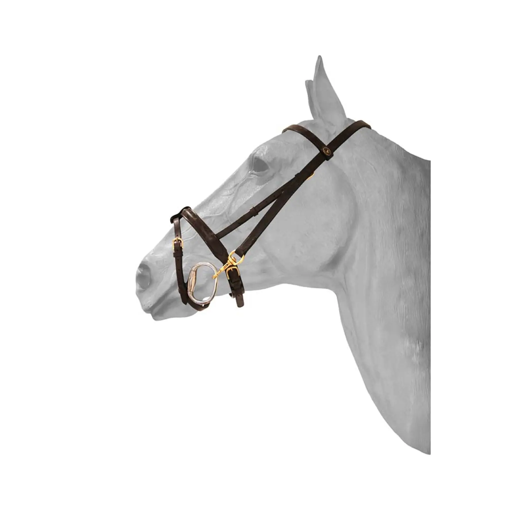 Bridle with anatomic snap hook HFI