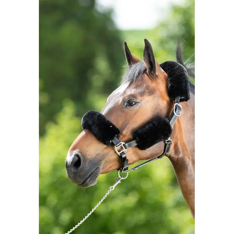 Sheath for halter HFI