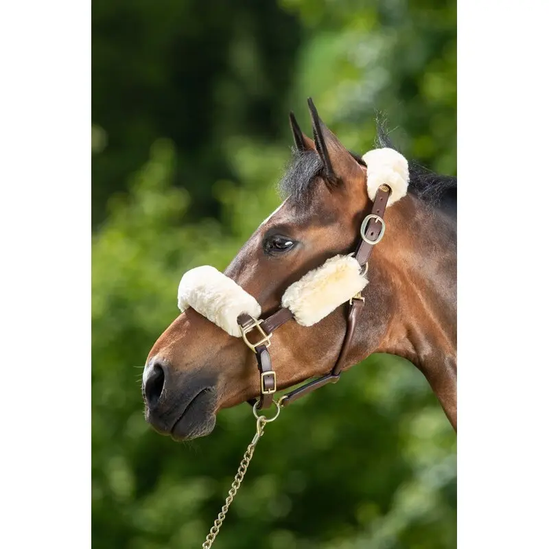 Sheath for halter HFI