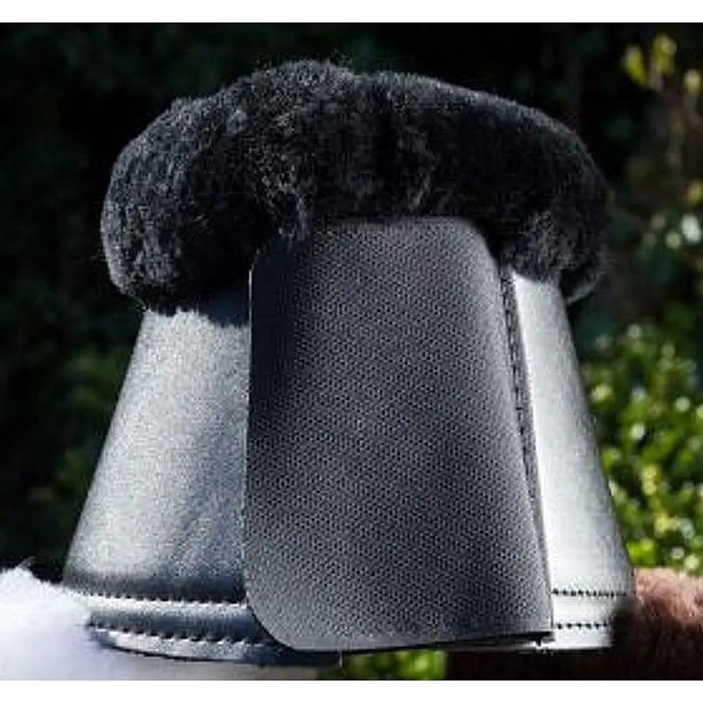Open bells sheep HFI