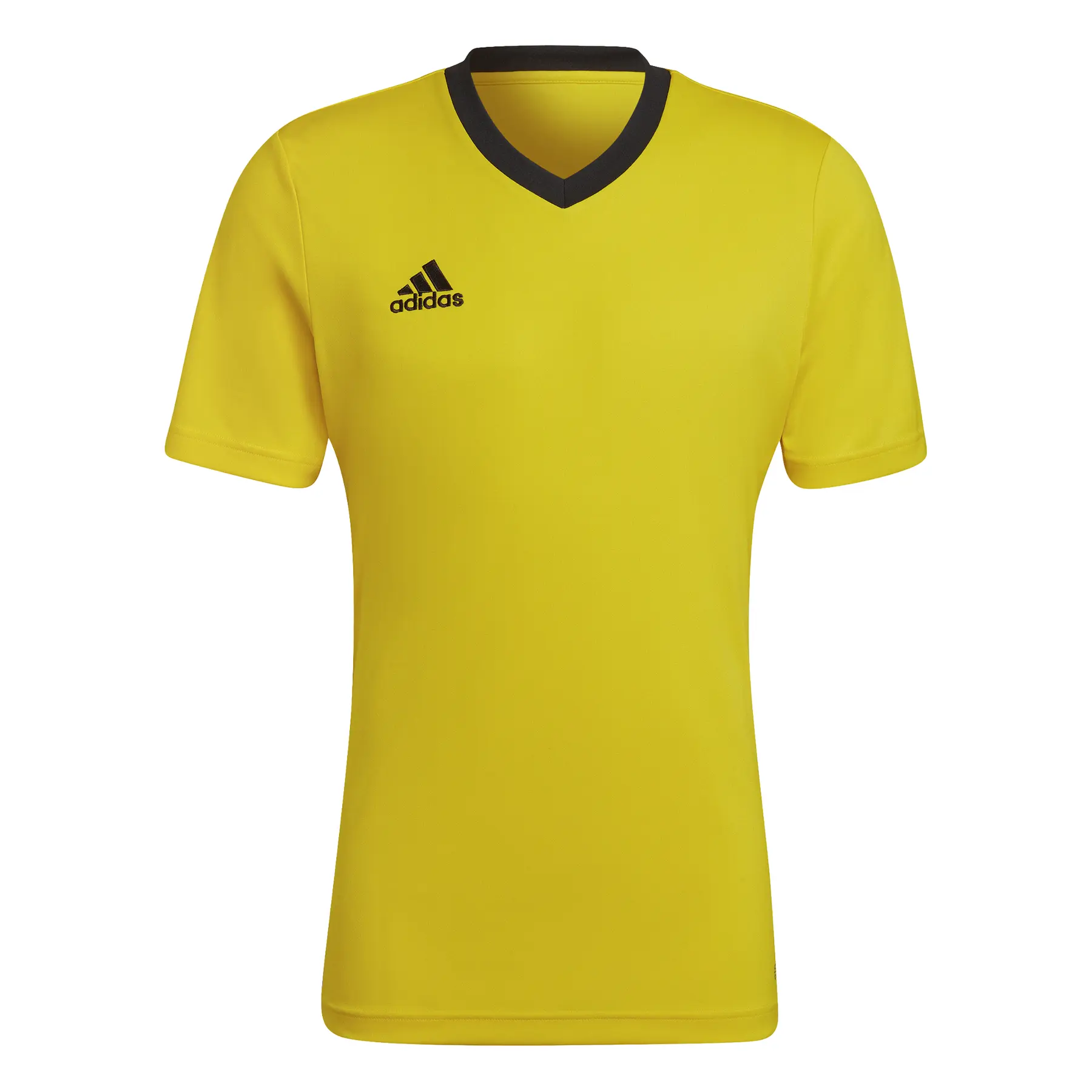 Trikot adidas Entrada 22