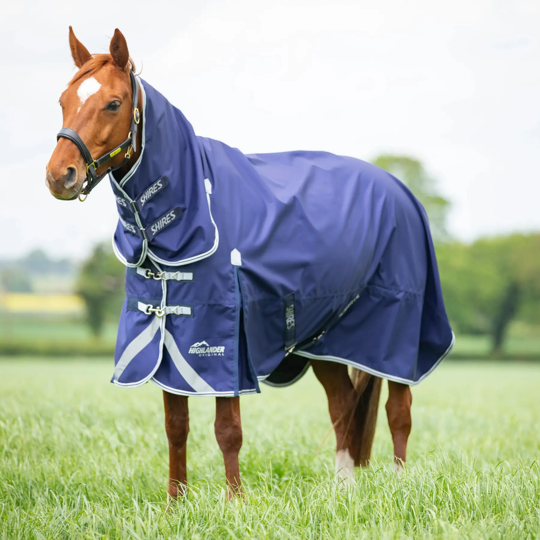 Coperta da paddock per cavalli Highlander Original Lite Combo 0g