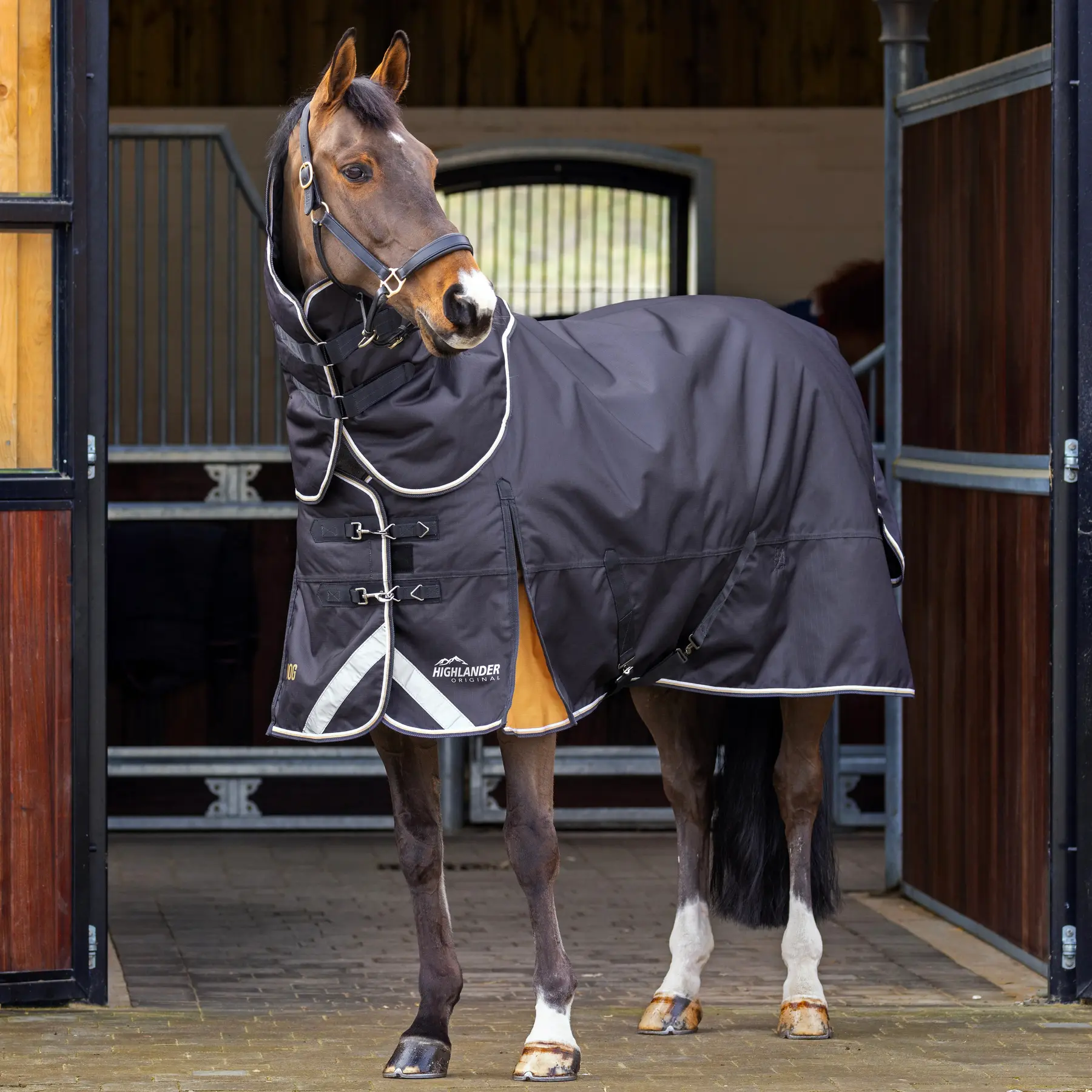 Coperta da paddock per cavalli con copricollo Highlander Plus 200g