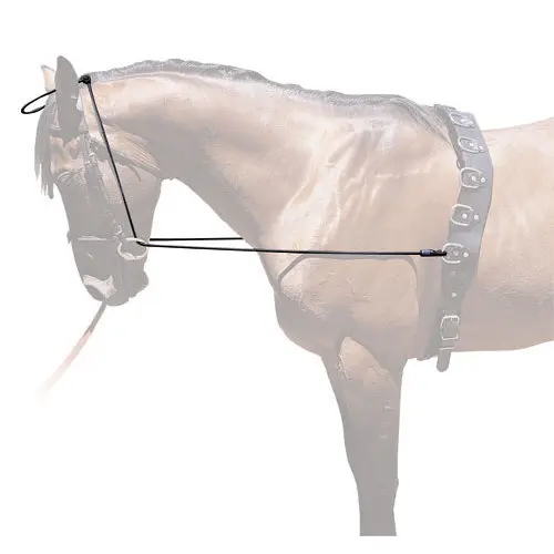 Elasticated Training Aid Hispano Hipica