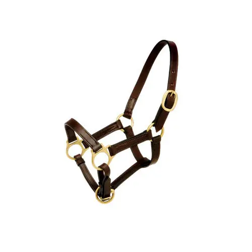 Leather halter for horse Hispano Hipica