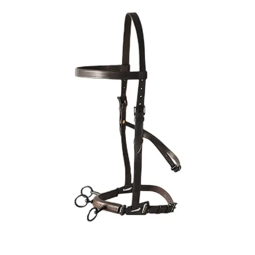Leather riding bridle Hispano Hipica