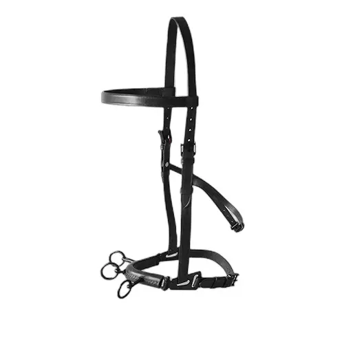 Leather riding bridle Hispano Hipica