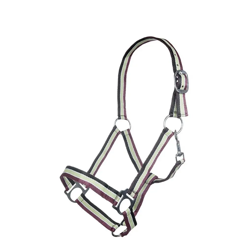 Halter for horse HKM Genf