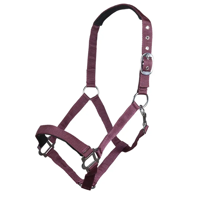 Halter for horse HKM Sydney