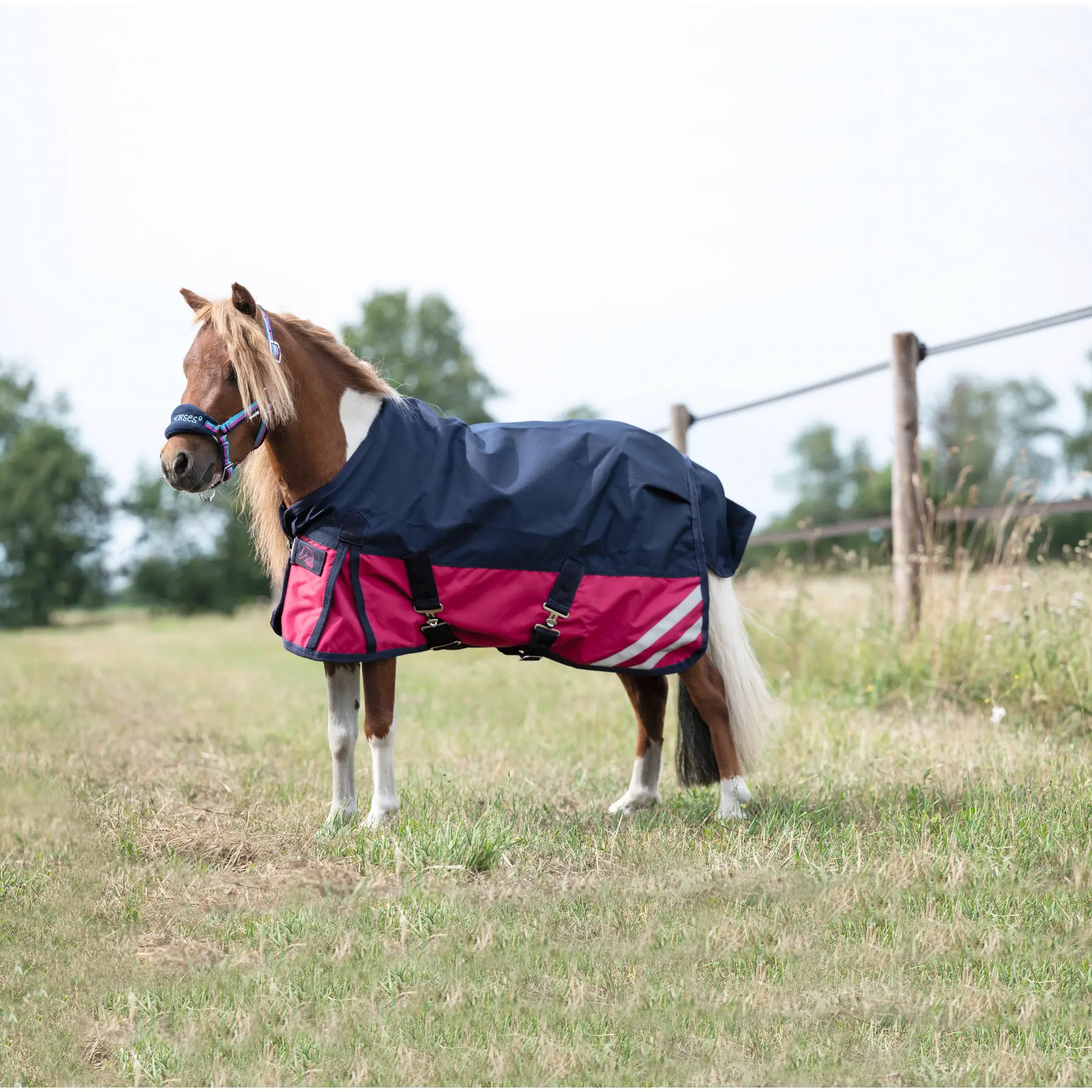 Outdoor-Decke für Pferde HKM Mini 600D