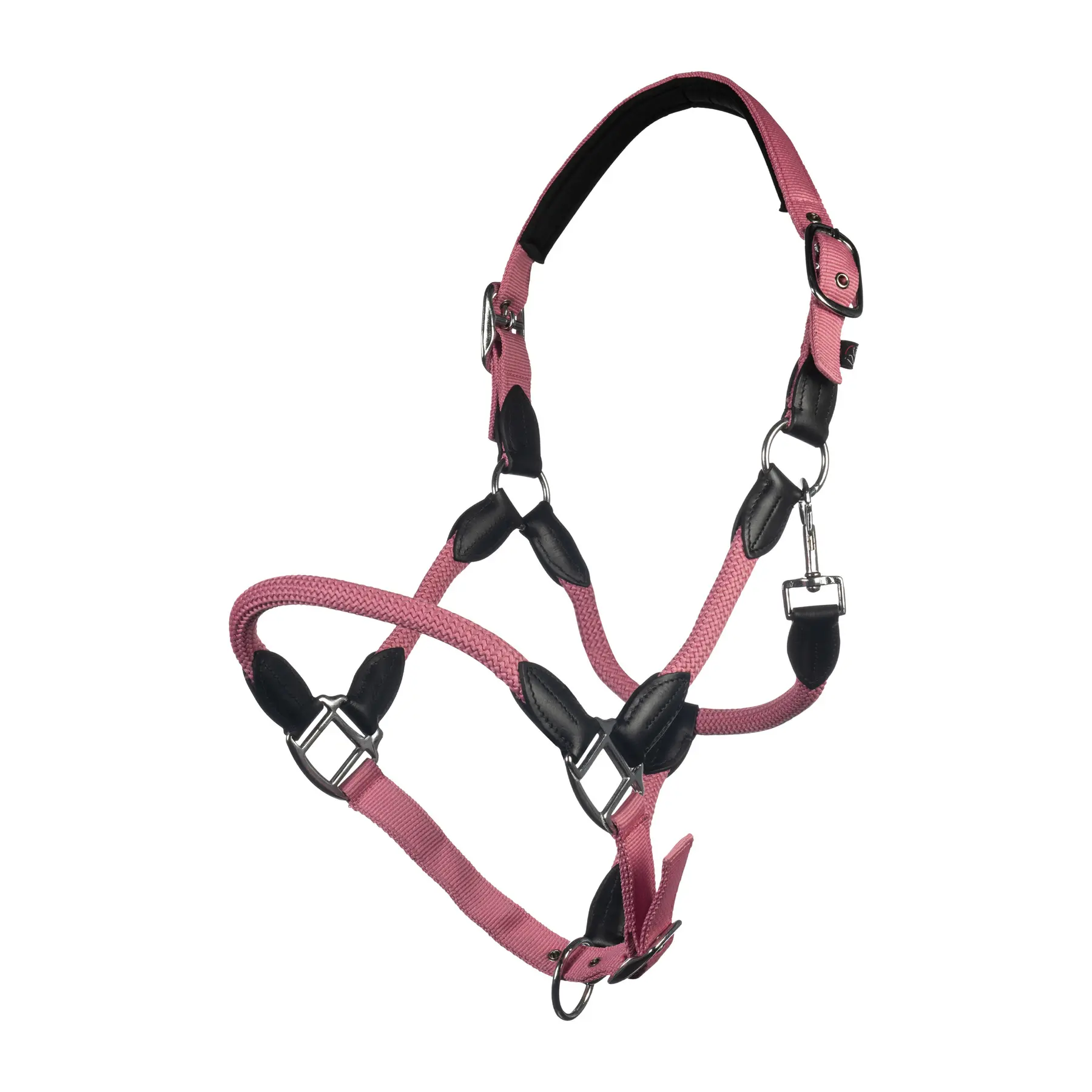 Cavezza HKM Carlotta