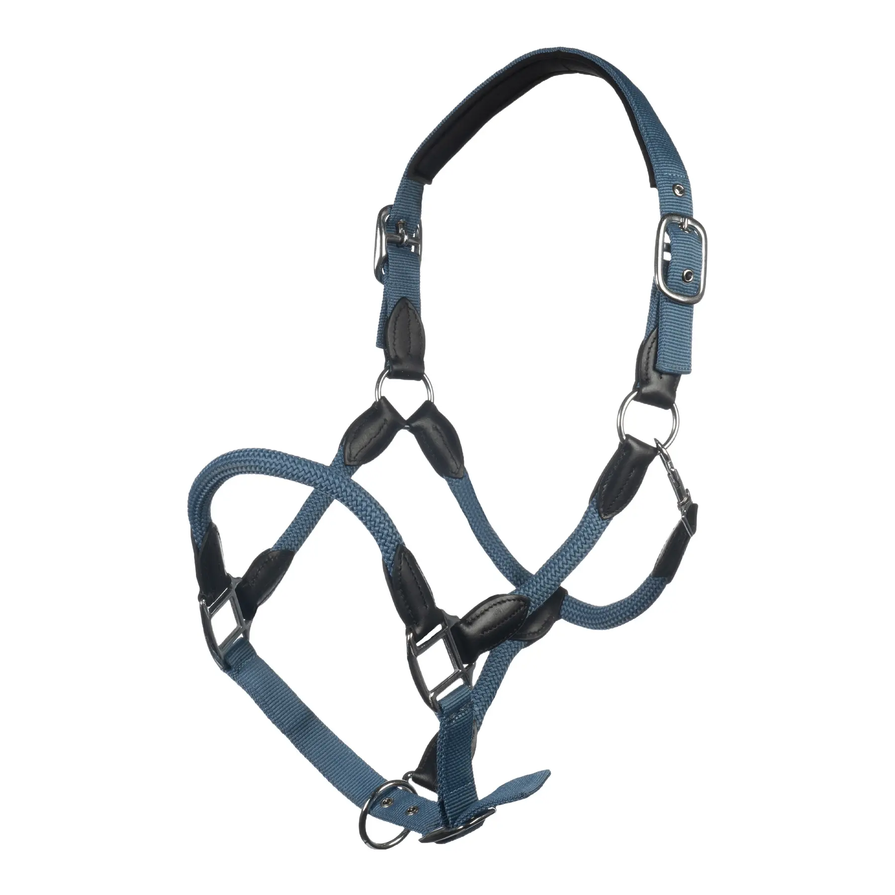 Cavezza HKM Carlotta