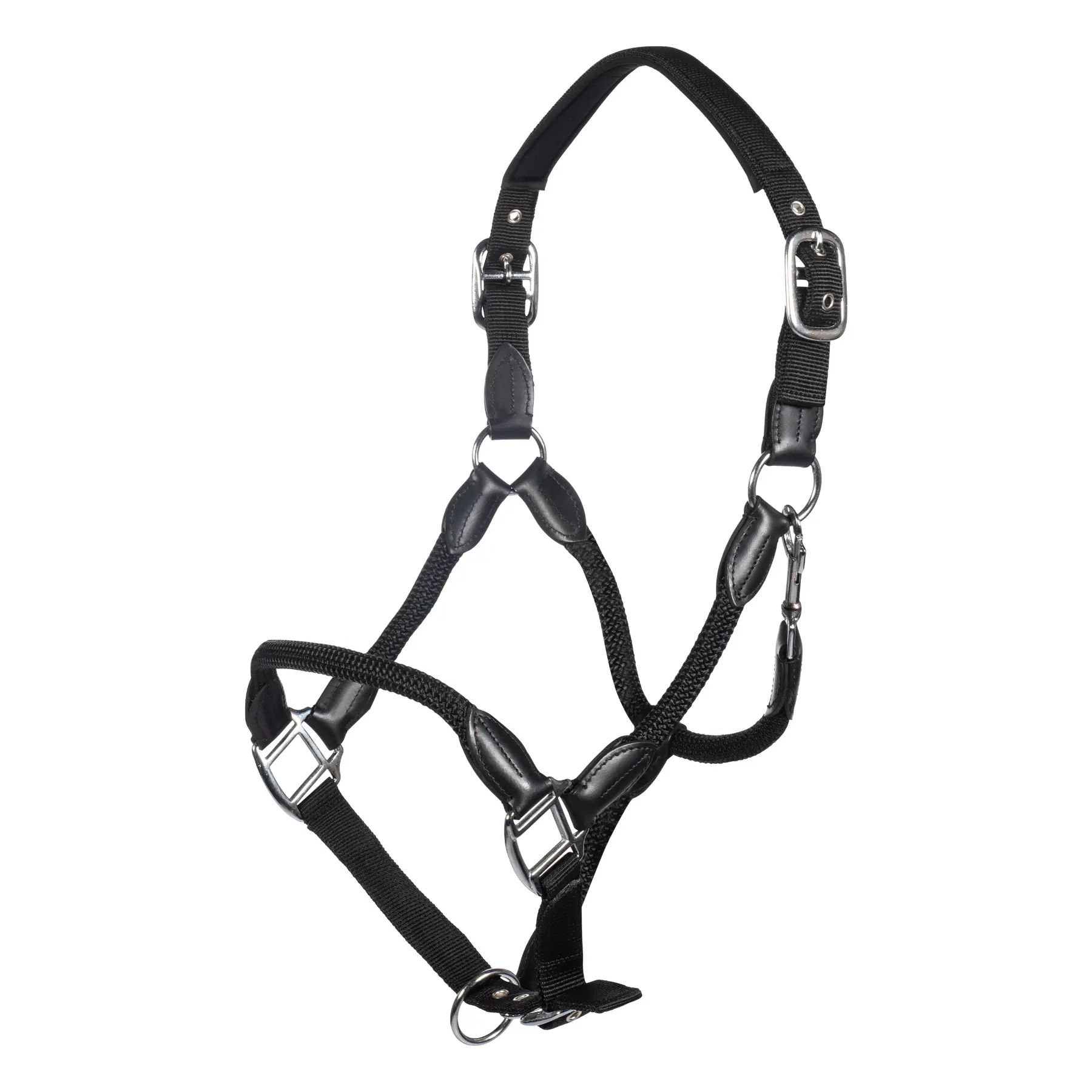 Cavezza HKM Carlotta