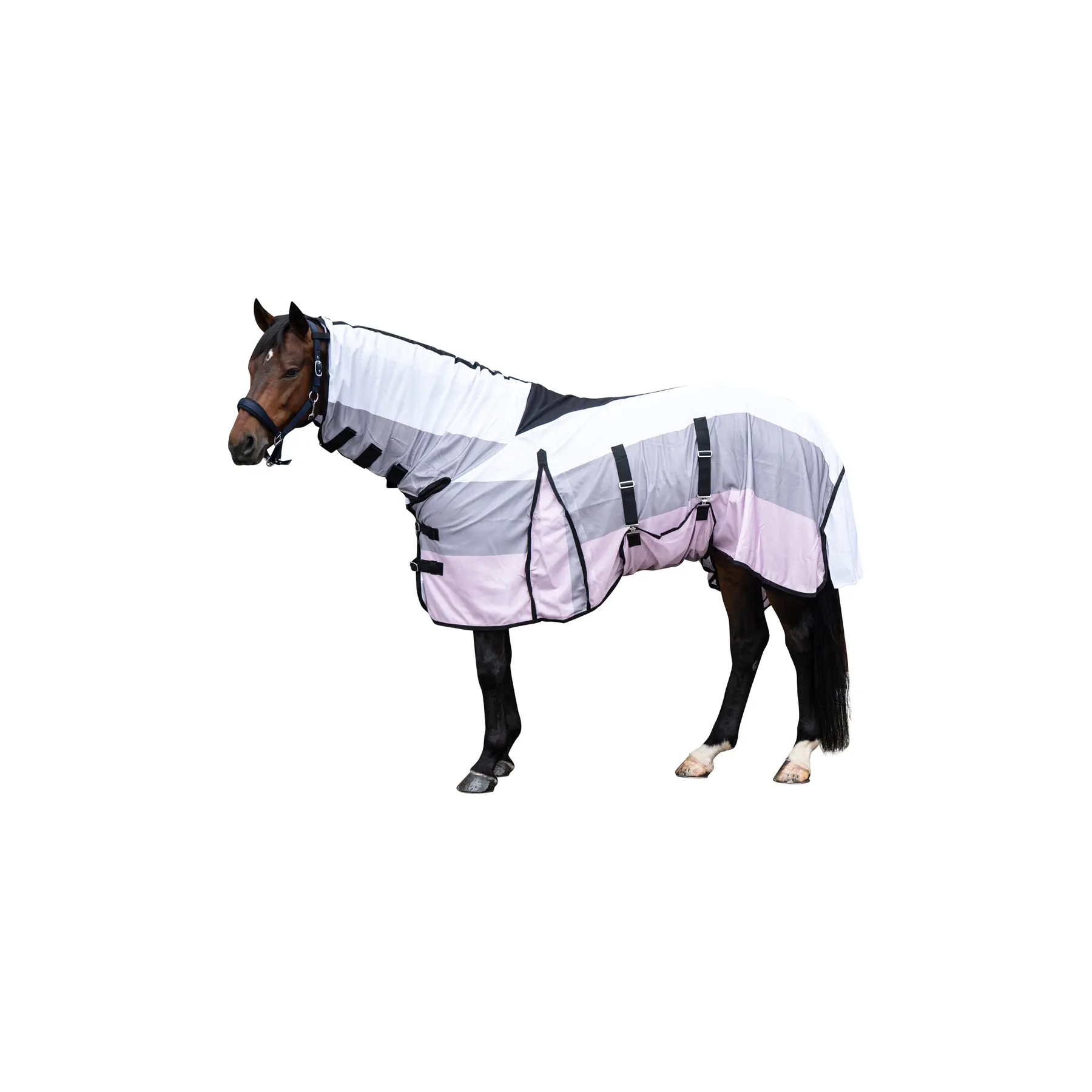 Coperta anti-mosche per cavalli - con copricollo HKM Strong