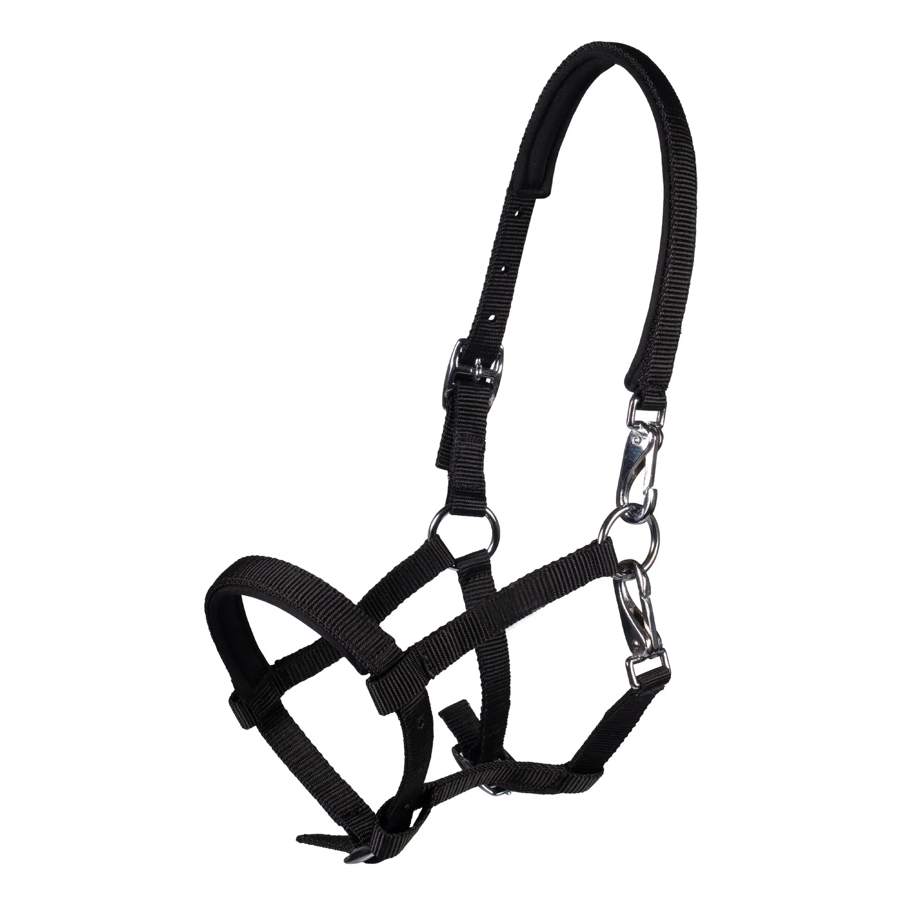 Halter for foal HKM Millie