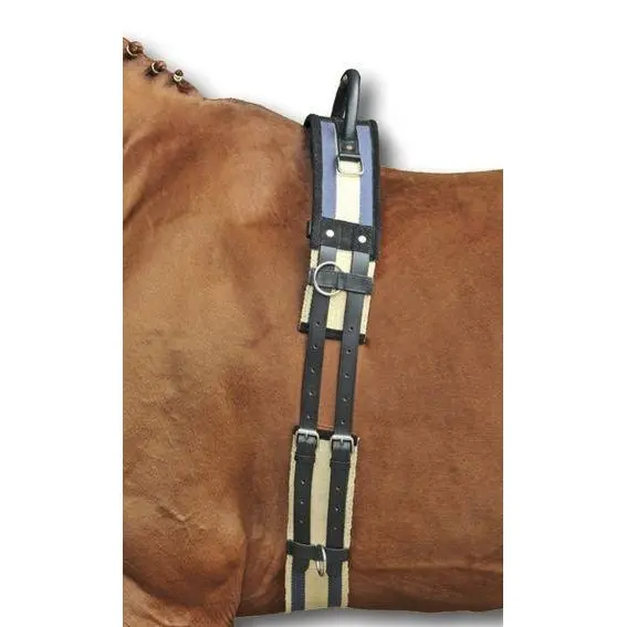 Surfacing for horse with handle HKM