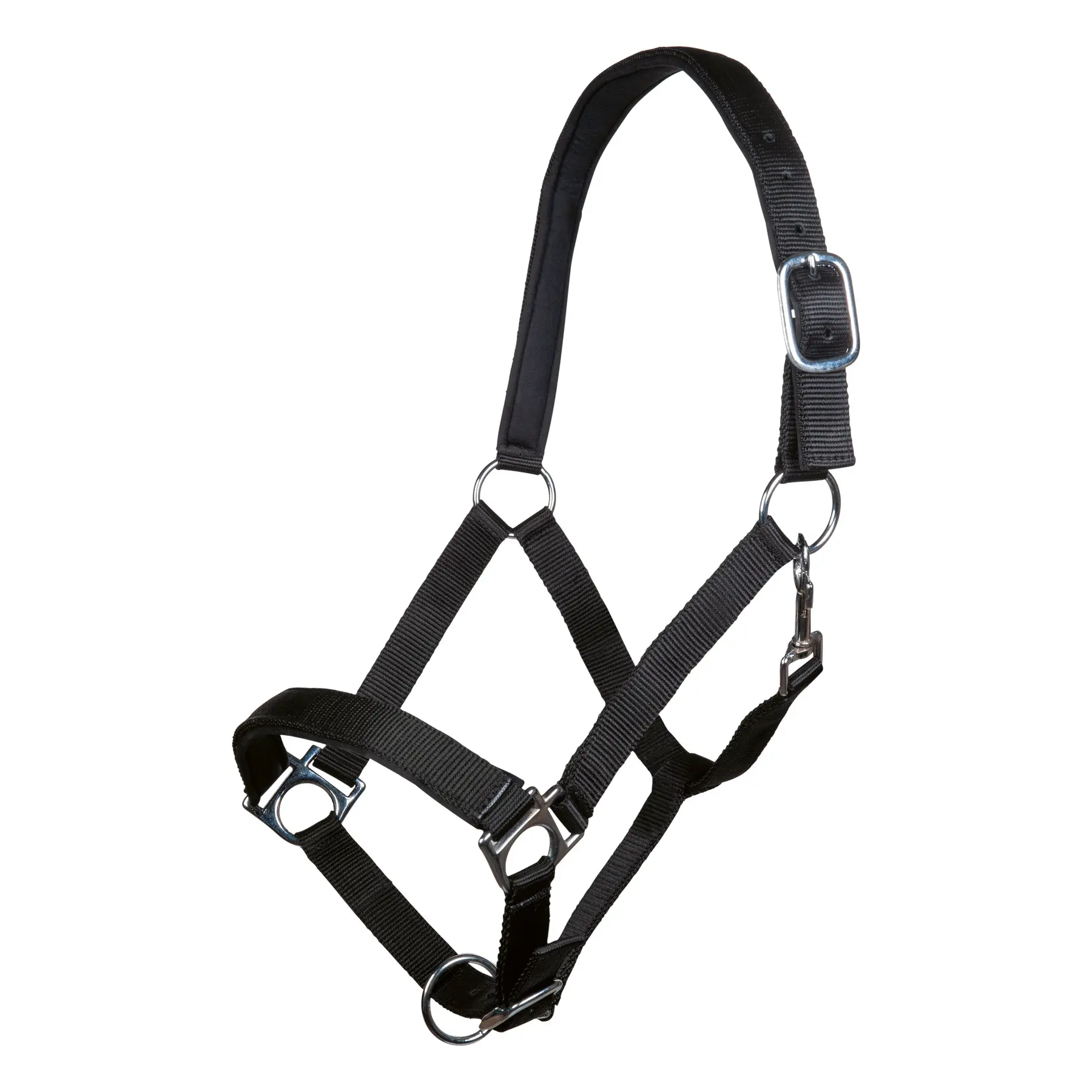 Halter for horse HKM Stars